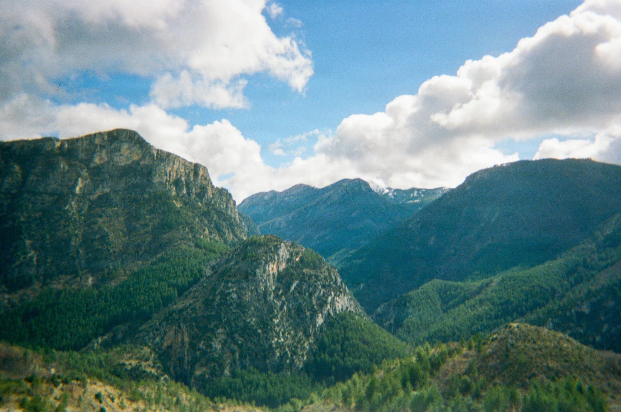 090715050004_1A.jpg