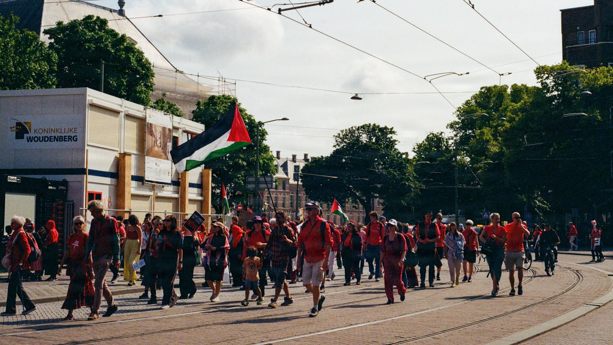 080768750016_16A.jpg